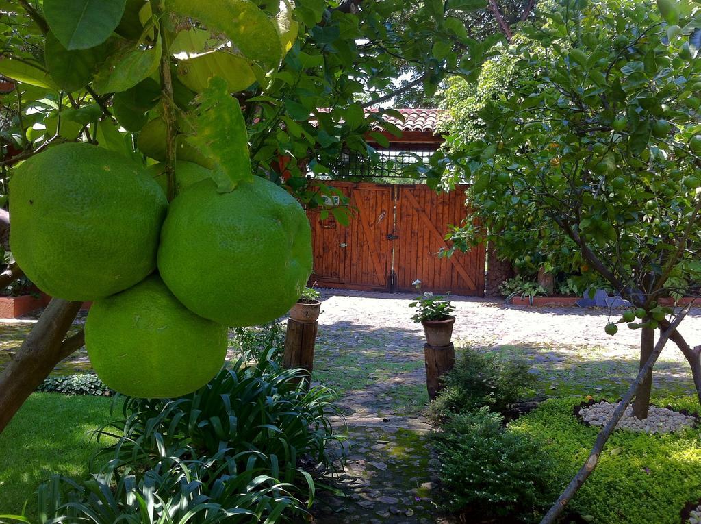 Casa Navacoyan Bed & Breakfast Malinalco Bagian luar foto